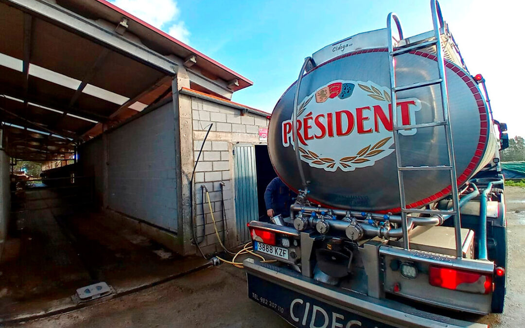 Acusan a la industria de aumentar hasta 9 céntimos la diferencia de precio entre granjas como estrategia para abaratar el coste medio de la leche
