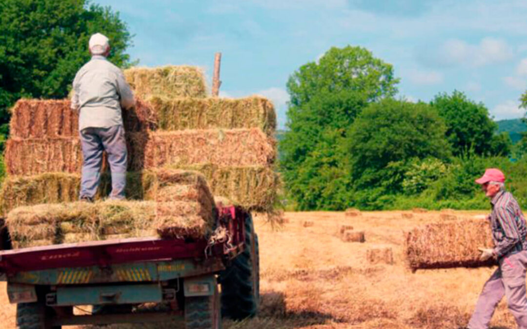 Por una jubilación anticipada digna porque “no se puede exigir aguantar en el campo hasta los 67 años”: en Andalucía la edad media es de 61 años