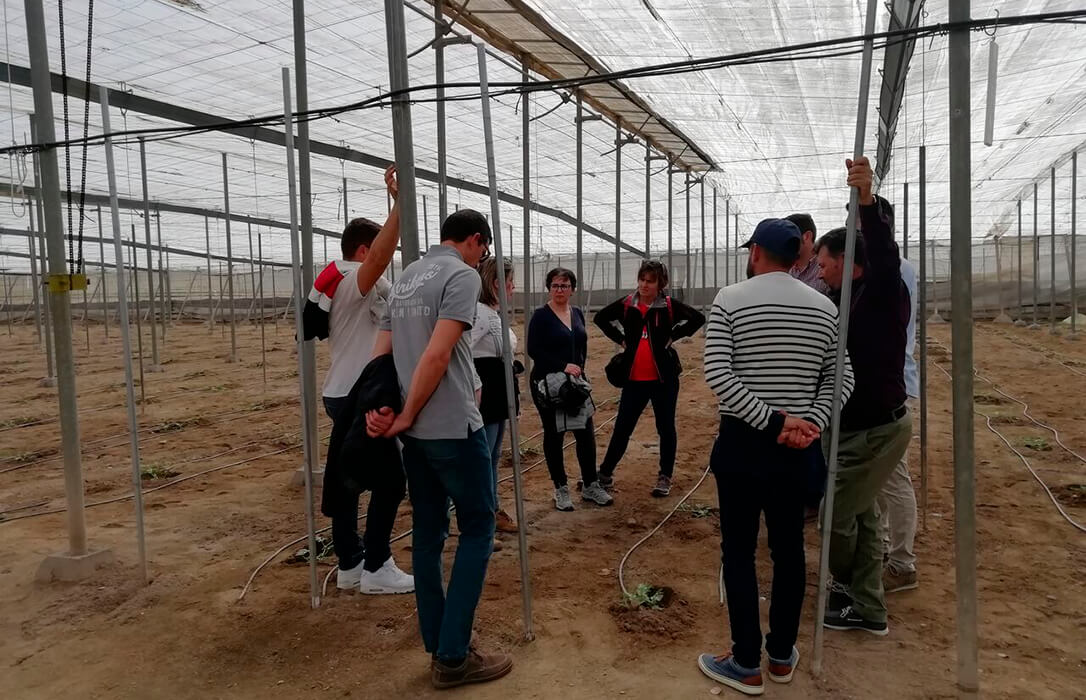 El futuro del campo: una encuesta entre la juventud agraria revela la necesidad de más apoyo real, formación práctica y asegurar una rentabilidad