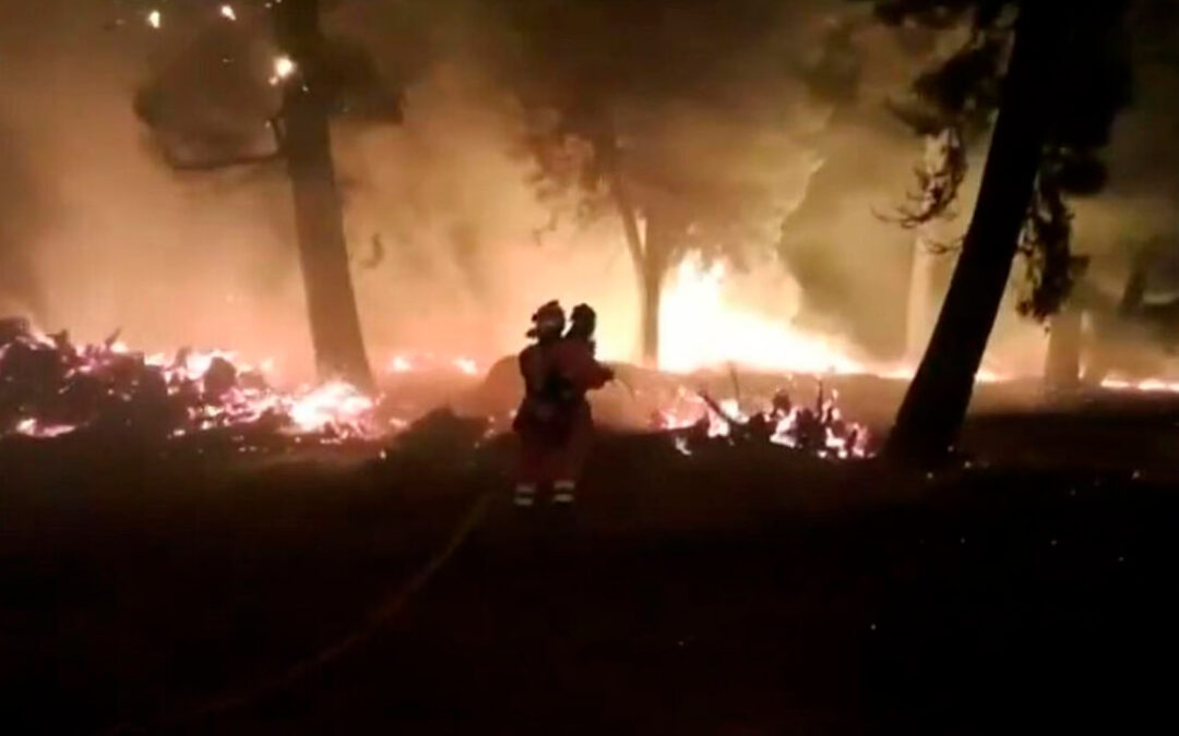 La serie histórica desmiente que los incendios los causen los agricultores: las exigencias de la PAC convierten áreas cortafuegos en zonas combustibles