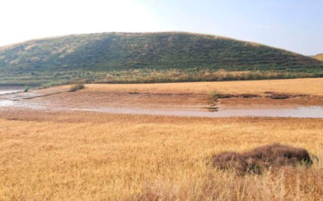 Agroseguro continúa con el pago de indemnizaciones a los cerealistas asegurados con otros 23 millones de euros