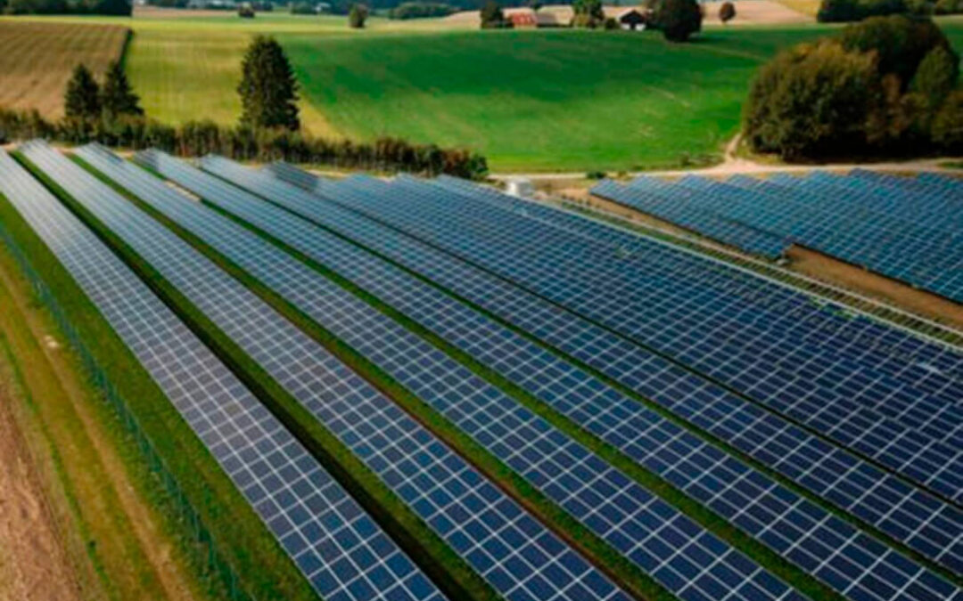 Impulsan una macrocausa judicial pionera en toda España para intentar detener las instalaciones fotovoltaicas en terrenos cultivables