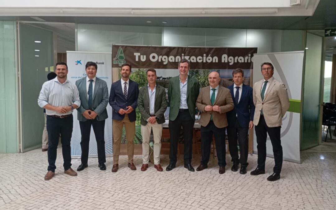 Éxito de público en la jornada ‘Olivar 360’ para analizar la situación del sector en la provincia de Cádiz y sus retos de futuro
