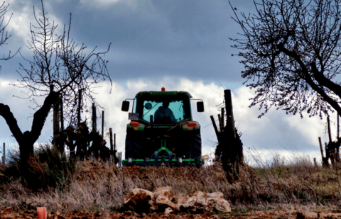 La Junta de CyL y las organizaciones agrarias defenderán un presupuesto sólido y justo para la PAC que priorice al agricultor profesional