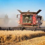 Concluye con resultados decepcionantes la cosecha del cereal en la provincia de Córdoba con una reducción del 20% en la producción