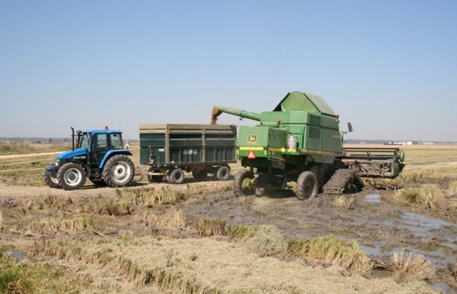 El Gobierno aprueba eliminar las penalizaciones por la presentación fuera de plazo de la solicitud única de la PAC entre el 15 y el 31 de mayo