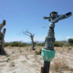 Aprobado un trasvase de julio y agosto de 120 hm3 del Tajo al Segura y denuncian que este año hidrológico del total ya es un 150% más de la media
