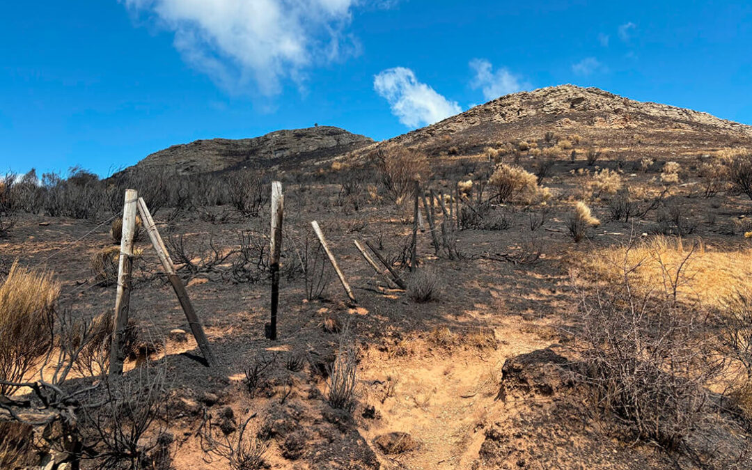 Critican que las ayudas por los incendios no llegan ni directa ni fácilmente a los afectados y son un engorro burocrático