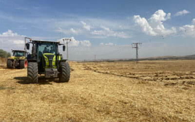 Éxito de participación en el concurso de arada celebrado en Calzada de Calatrava con cinco niños que auguran un relevo generacional