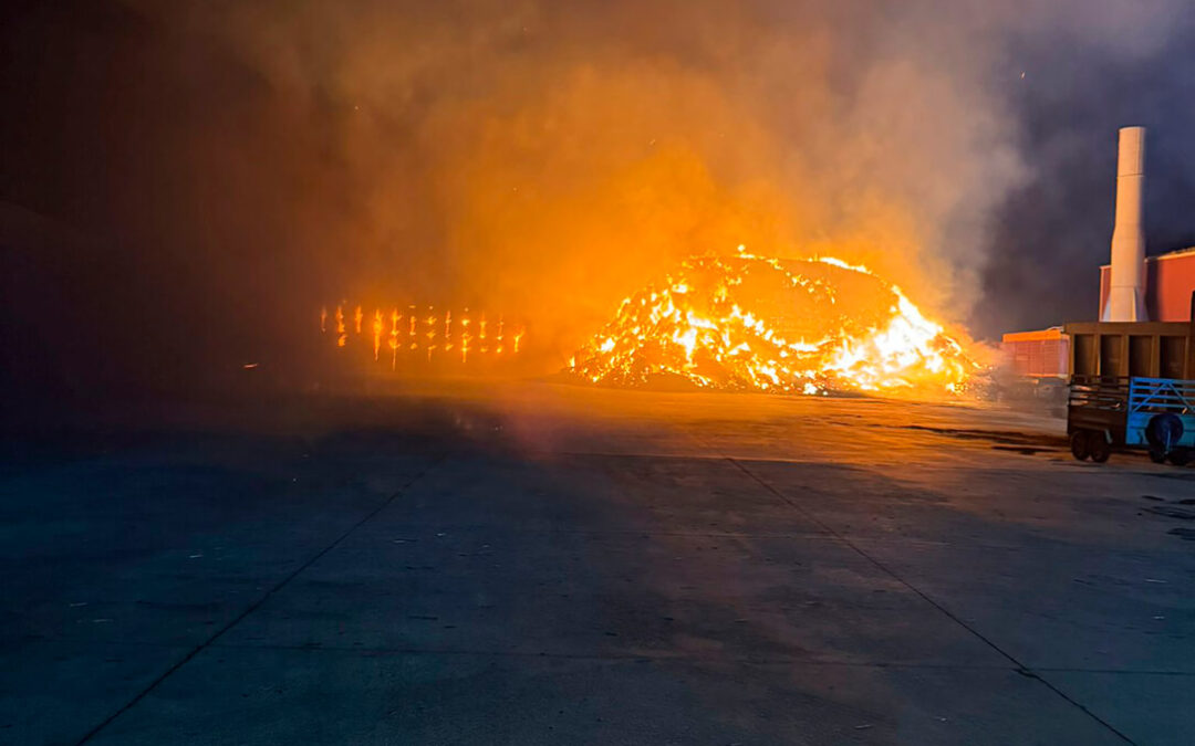 Reacción ante los incendios: urgen a replantear las políticas forestales, superar el «ecologismo trasnochado» y cambiar medidas medioambientales de la PAC