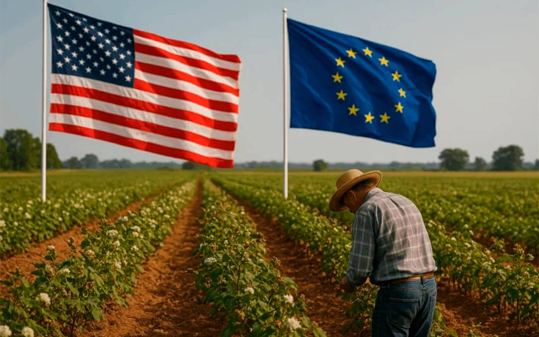 Europa logra poner de acuerdo a todas las OPAs españolas: enfado con el acuerdo de aranceles y petición unánime de medidas compensatorias