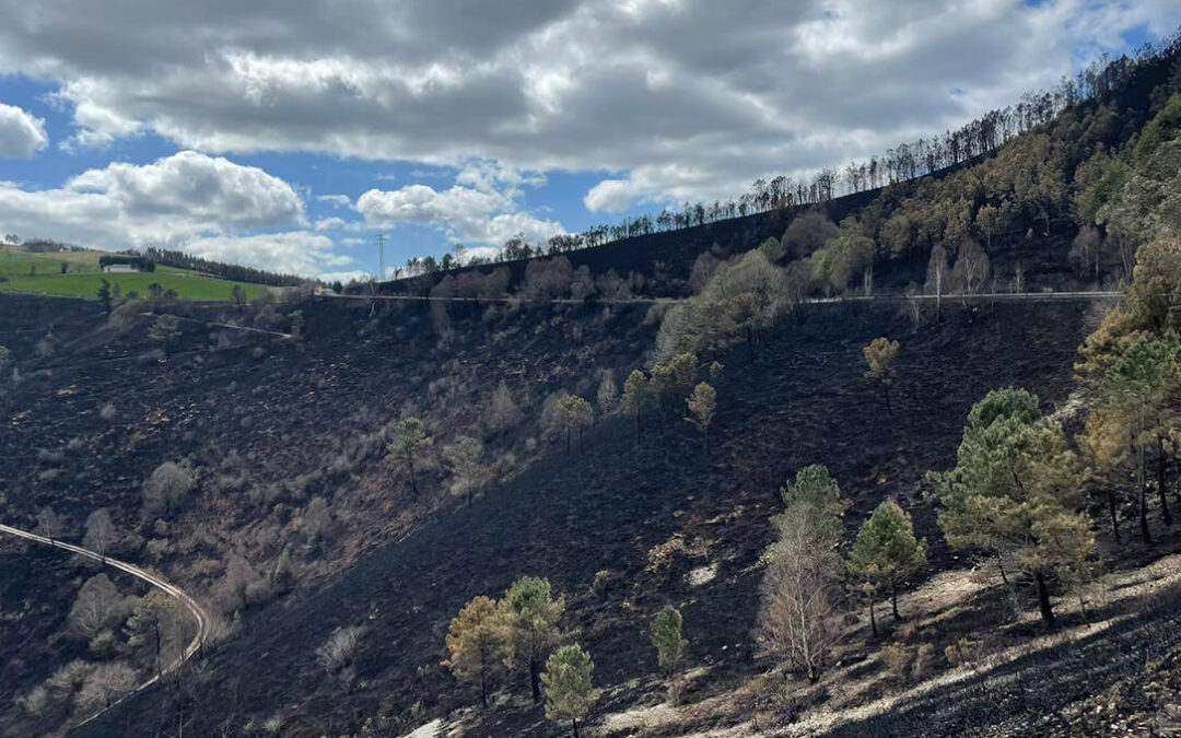 Piden al Principado ayudas para los ganaderos afectados por los incendios y que no sufran penalizaciones en las ayudas de la PAC