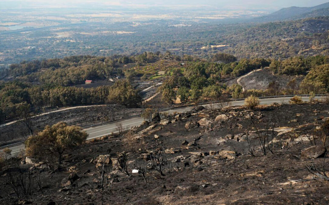 Zonas catastróficas por los incendios: piden medidas excepcionales  y un presupuesto generoso para su financiación similar al de la DANA