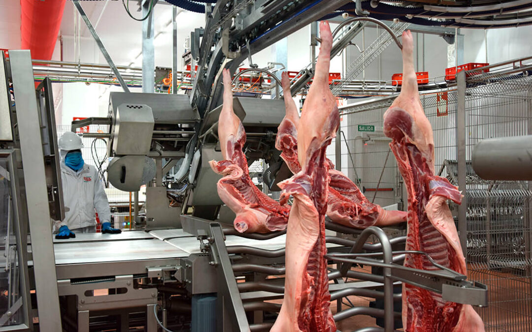 China anuncia aranceles temporales de hasta un 62% a la carne de cerdo de la UE: en el caso de España se quedarán entre el 15,6 y el 20%