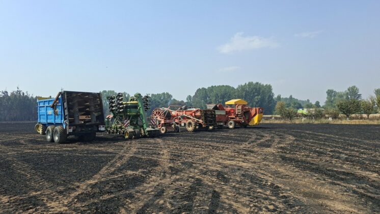 No todo son críticas: valoran positivamente las ayudas del Ministerio de Agricultura para compensar daños agrícolas y ganaderos por los incendios