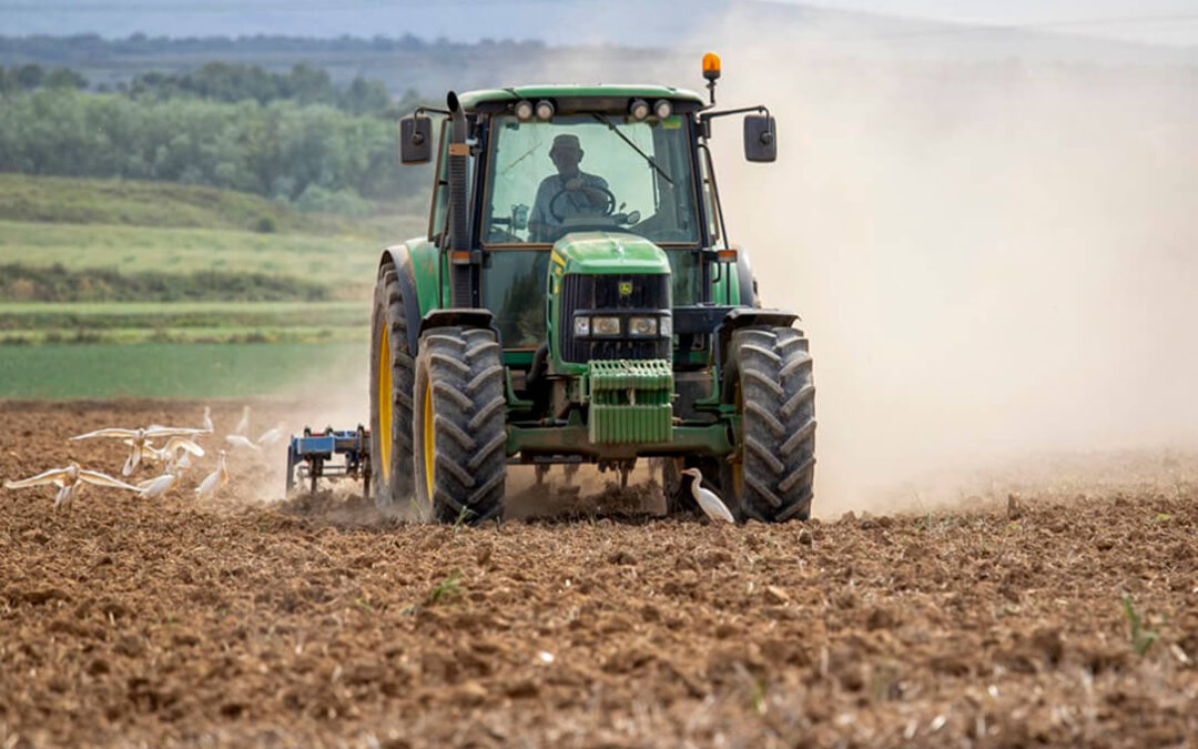 El campo también arranca el nuevo curso político y lo encara con normas pendientes en agricultura familiar, PAC o aceite