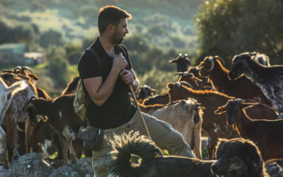 Anuncian una nueva edición de la Escuela de Pastores de Andalucía para comienzos de 2026 para afrontar los retos de la ganadería actual