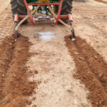 La CE adopta nuevas normas sobre fertilizantes RENURE a base de estiércol procesado para reducir importaciones de los químicos