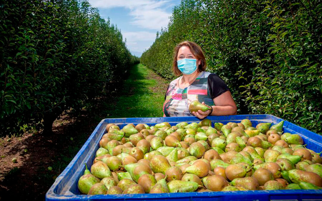 El Ministerio de Agricultura, Pesca y Alimentación reconoce con un premio honorífico a las mujeres cooperativistas del sector agroalimentario