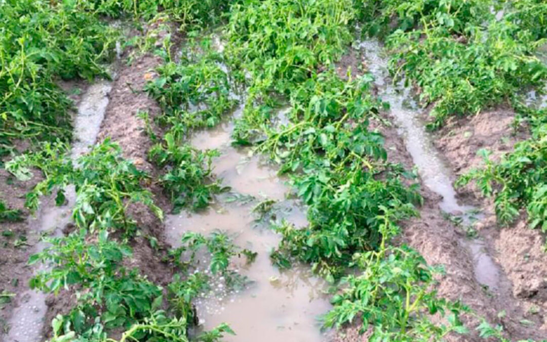Pacto de Estado Climático: «que no sea un mero anuncio para salir del paso, sino que cuente con recursos estables y medidas prácticas»