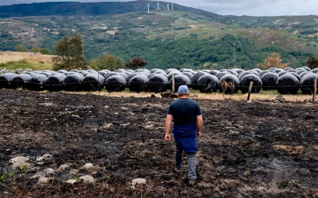 El Gobierno formalizará esta semana los trámites para poder agilizar los pagos a los agricultores y ganaderos afectados por los incendios