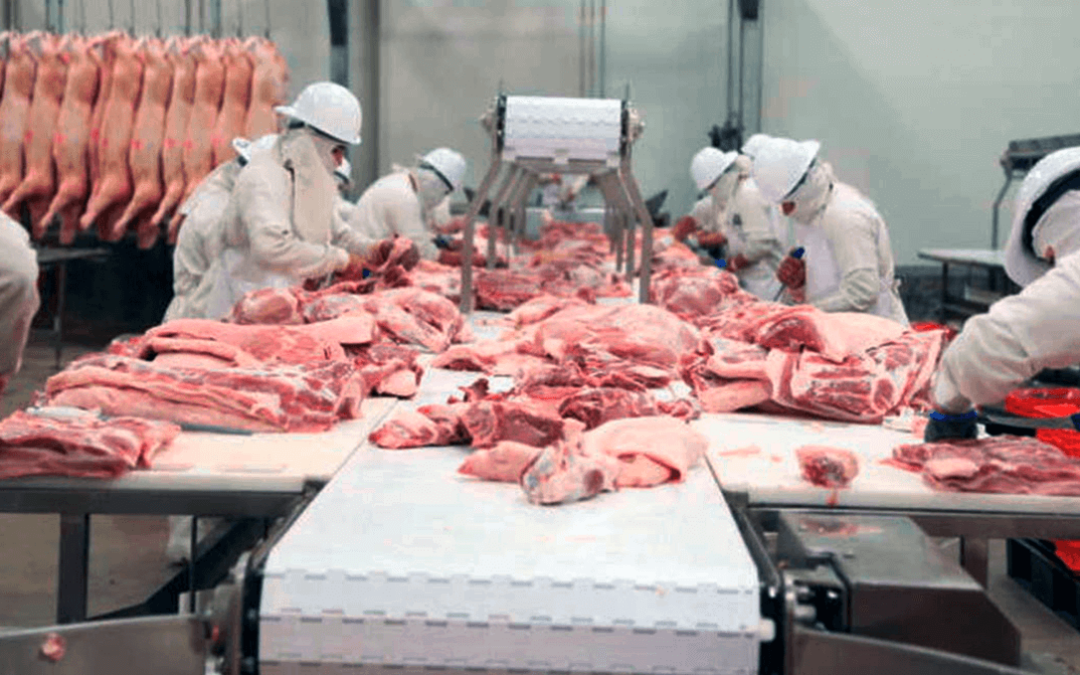 Fuerte rechazo a los nuevos aranceles de China al sector agropecuario europeo: «sacrifican el sector porcino por los coches eléctricos chinos»