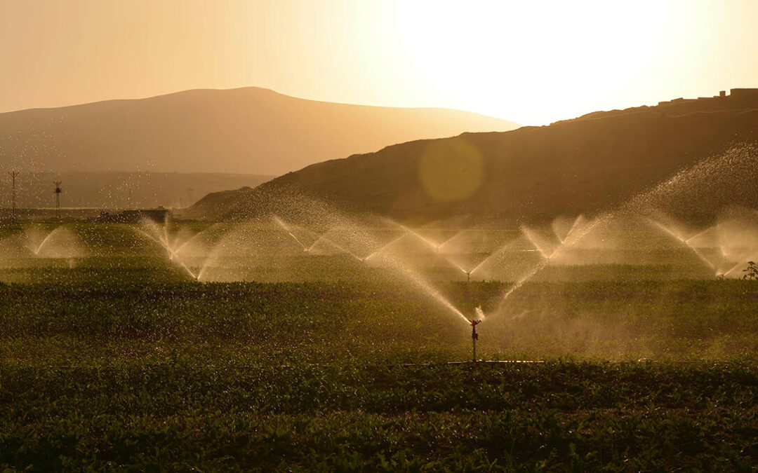 Las comunidades de regantes destacan que la agricultura en regadío también ha actuado como un eficiente cortafuegos ante los incendios