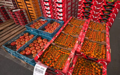 Amfar desarrolla el programa ‘Zero desperdicio alimentario’ dirigido a mujeres rurales en Castilla-La Mancha