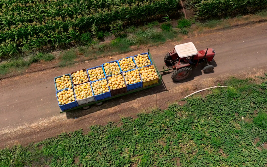 5.296 millones en pagos directos de la PAC en 2025: 1 de cada 5 euros está vinculado a los eco-regímenes que pueden desaparecer con la nueva PAC