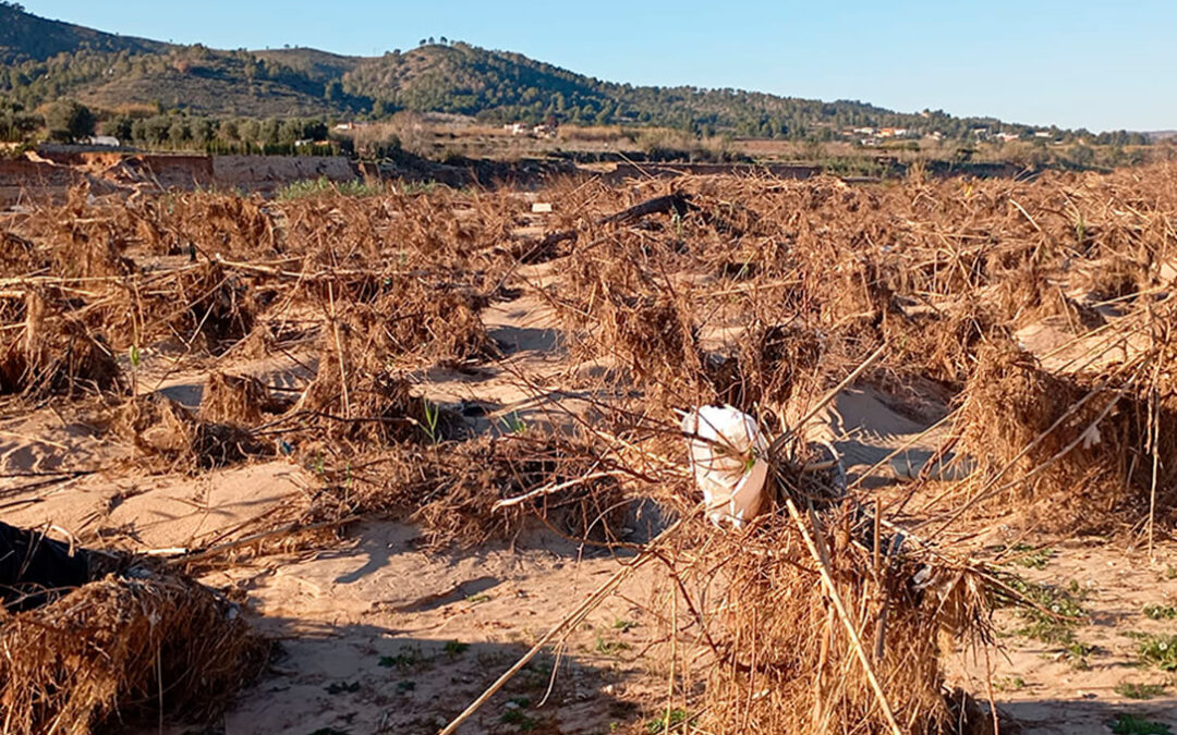 Recordemos y preparémonos para futuras riadas