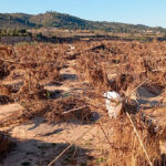 Recordemos y preparémonos para futuras riadas