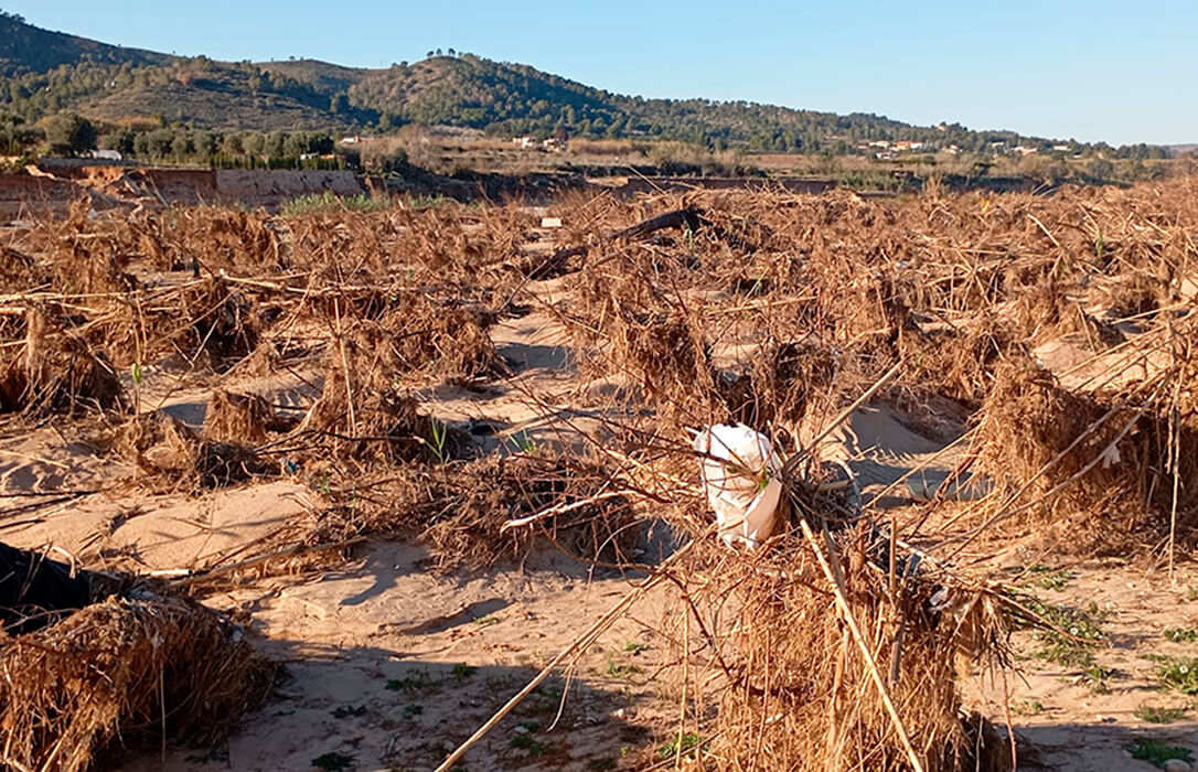 Recordemos y preparémonos para futuras riadas