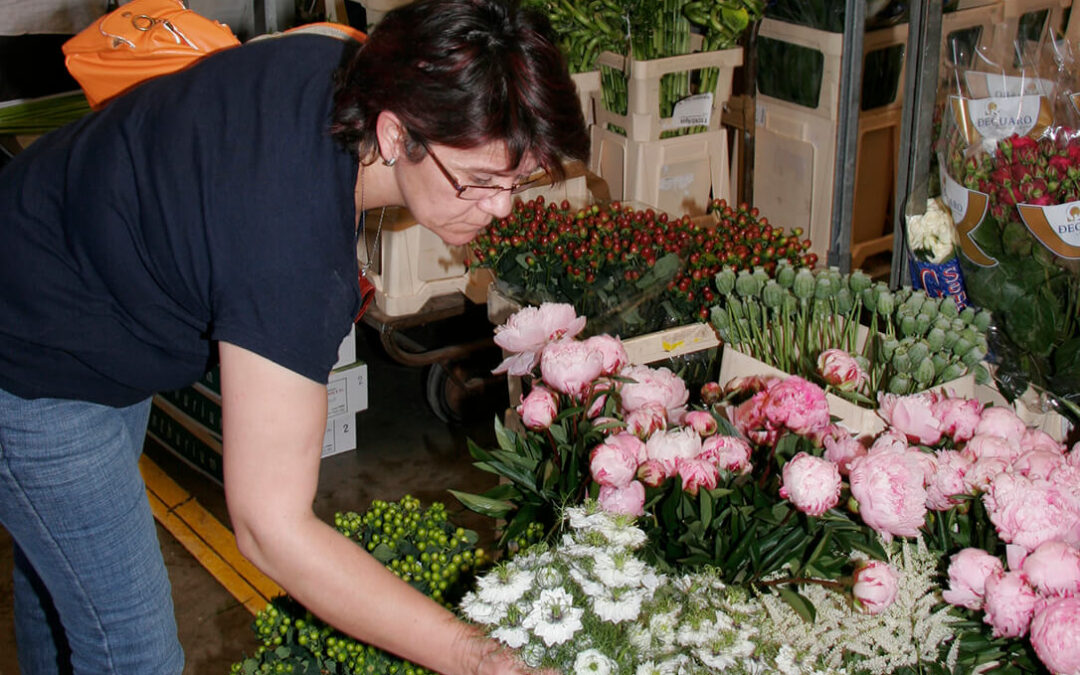Animan a comprar flores nacionales en Todos los Santos no solo como un gesto de recuerdo, sino de apoyo al medio rural