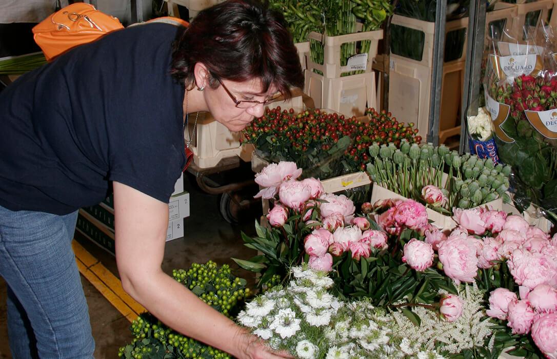 Animan a comprar flores nacionales en Todos los Santos no solo como un gesto de recuerdo, sino de apoyo al medio rural