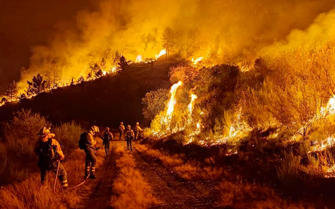Insuficientes ayudas aprobadas por el Gobierno para los afectados por los incendios: piden «un plan de apoyo real no un parche temporal»