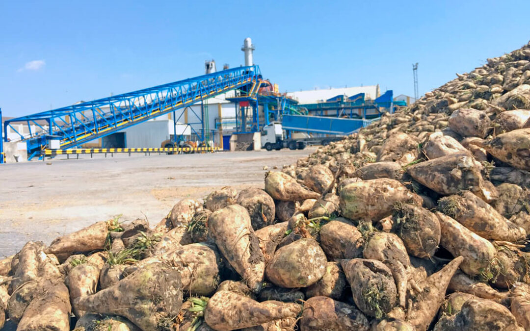 Azucarera aclara que la planta de Jerez no está cerrada porque «esta campaña» continúa operando con normalidad como refinería