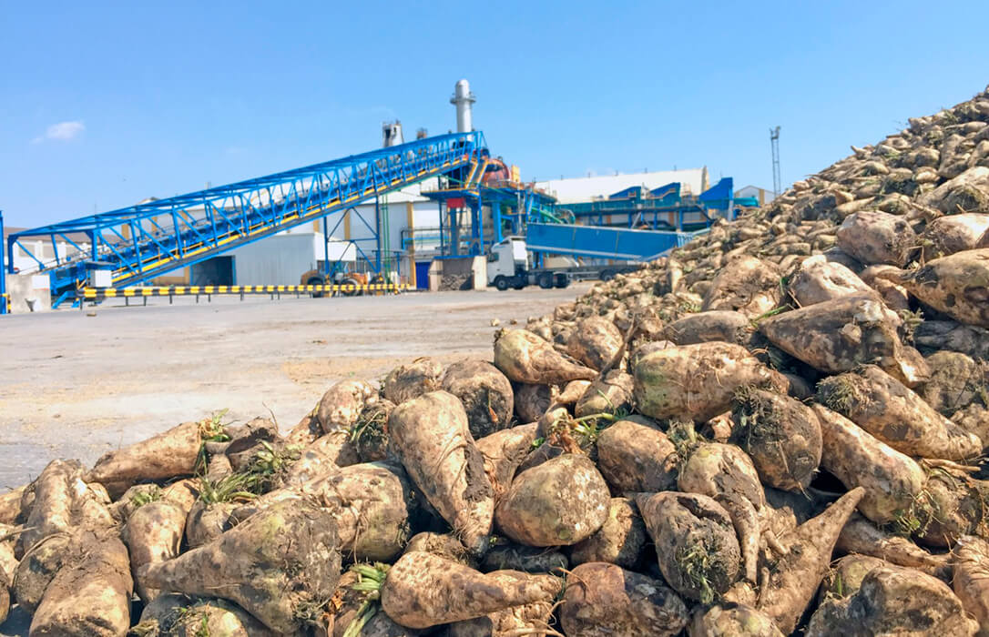 Azucarera aclara que la planta de Jerez no está cerrada porque «esta campaña» continúa operando con normalidad como refinería
