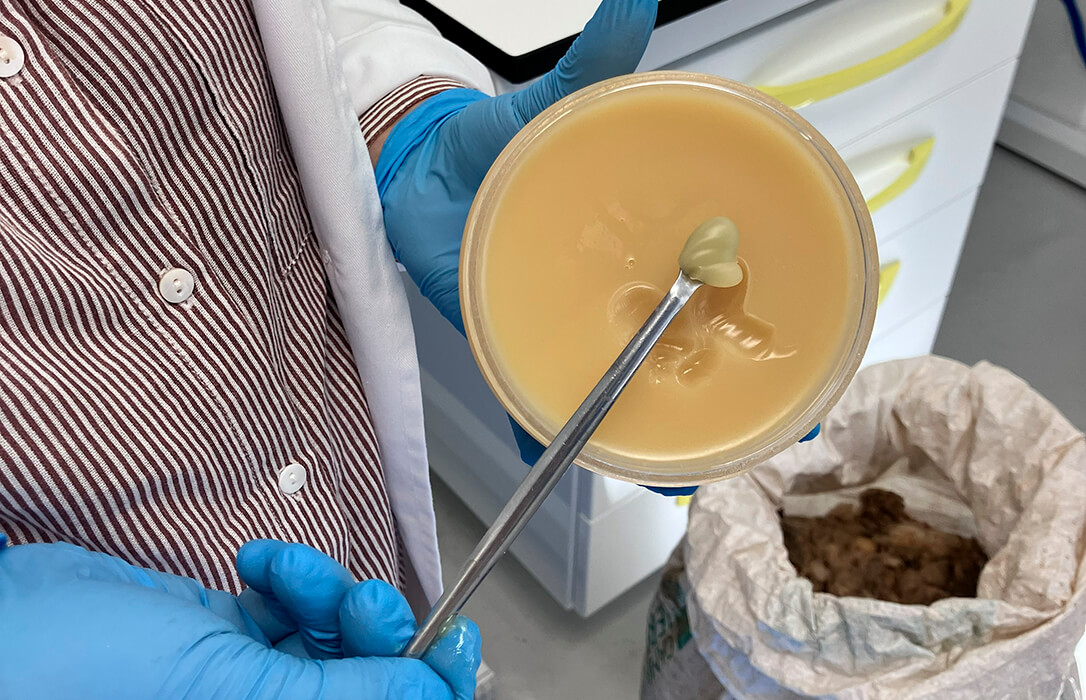 Un proyecto pionero en España del Cicytex transforma la lana de menor calidad en productos de alto valor añadido