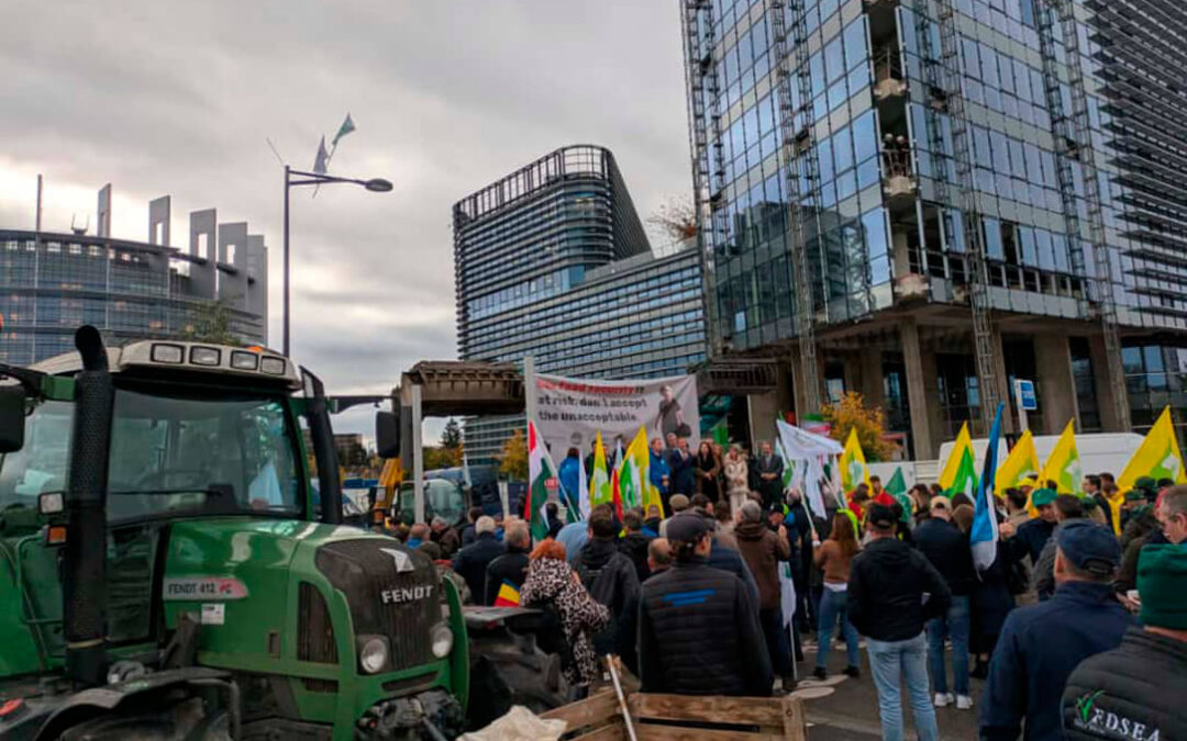 Concentración relámpago en Estrasburgo para exigir el rechazo de las cuentas europeas  y devolver la propuesta de la PAC a los corrales
