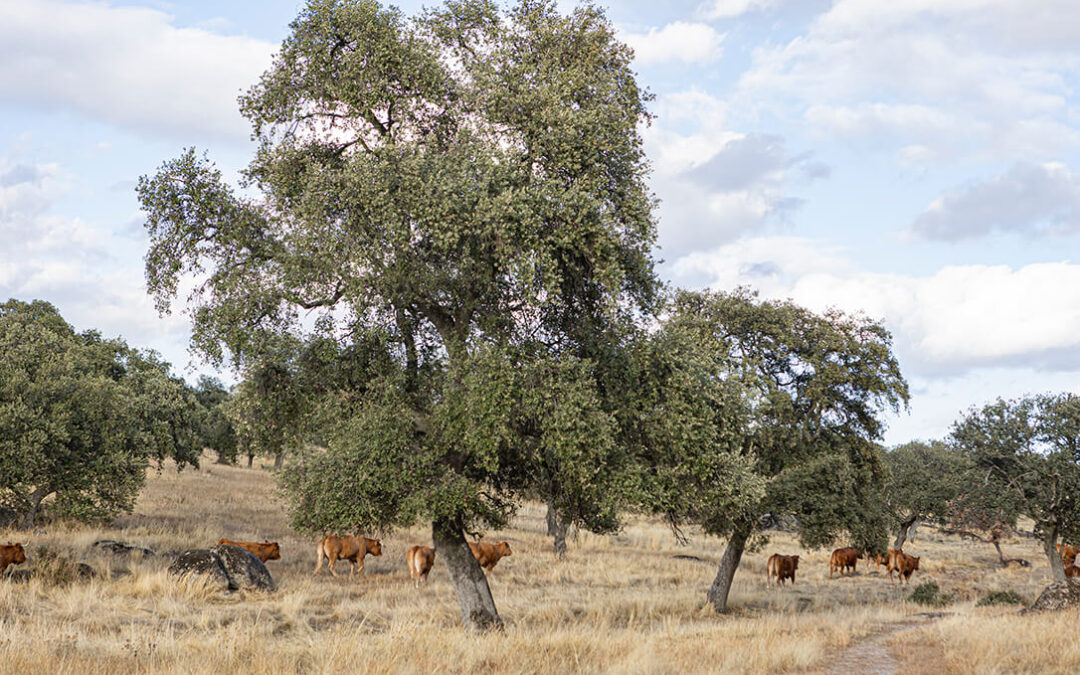 El campo ecológico presume de triple impacto: económico, social y medioambiental en una jornada de puertas abiertas