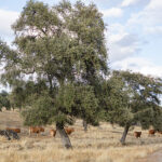 The organic farm boasts a triple impact: economic, social and environmental, at an open house event