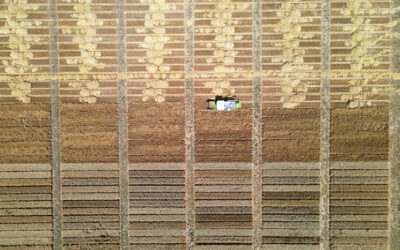 «Por fin»: Red Arax presenta su Dosier del Cereal de Invierno en Aragón en una campaña marcada por los elevados rendimientos en todos los ensayos