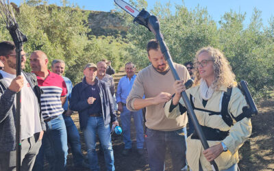 El paso intermedio de olivarero a Terminator: UPA muestra el uso de un novedoso exoesqueleto para facilitar la poda del olivar