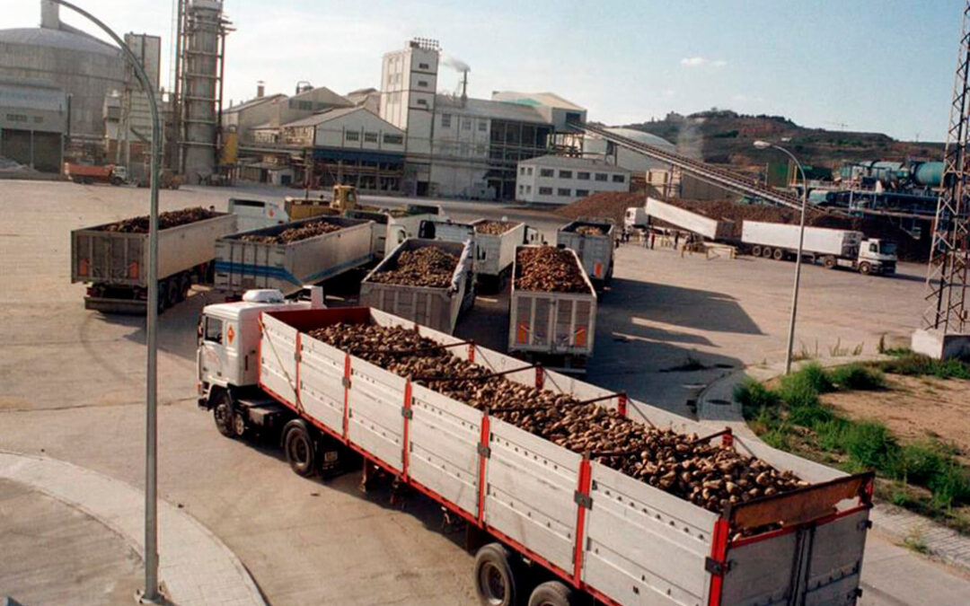 Azucarera, tras el cierre de plantas y despidos, comienza el lunes la campaña remolachera con la apertura de una fábrica de Toro que molturará todo el cultivo
