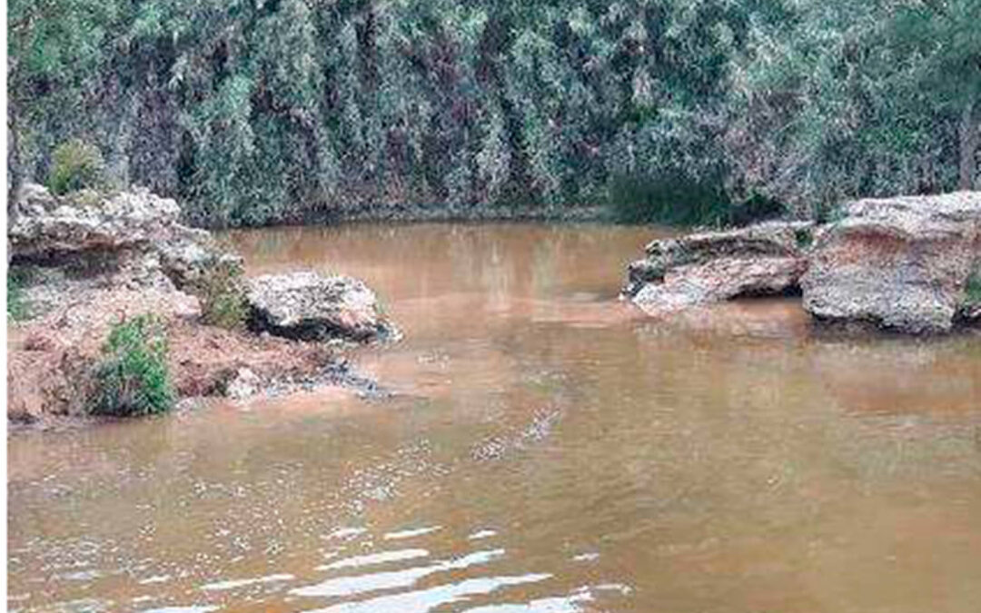 Los 53 litros por metro cuadrado de lluvia de los últimos días al río Guadiamar garantizan aporte de agua necesario para Doñana