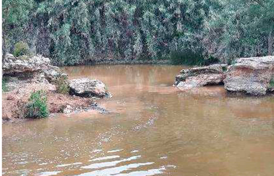 Los 53 litros por metro cuadrado de lluvia de los últimos días al río Guadiamar garantizan aporte de agua necesario para Doñana
