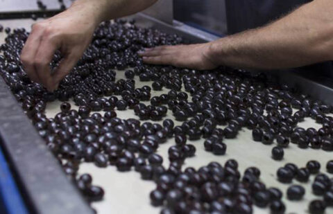 La Organización Mundial del Comercio autoriza a la UE a imponer represalias a EEUU por los aranceles a la aceituna negra española