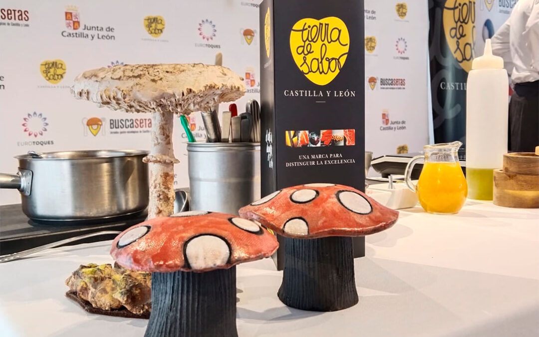 Respaldo a las XXIV Jornadas Micológicas Buscasetas-Tierra de Sabor en el que participan 121 establecimientos del 1 y 16 de noviembre