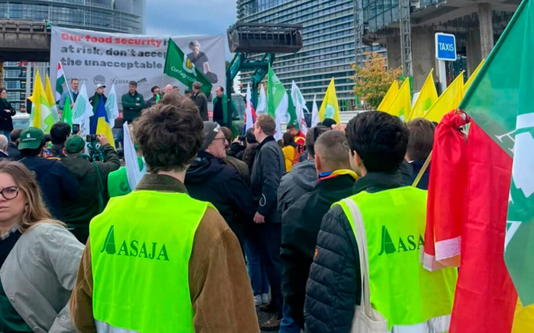 Las batallas que no se ganan son la que no se dan