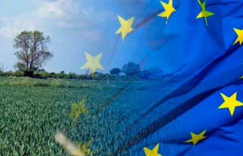 La mayoría de los partidos del Parlamento Europeo critica el plan presupuestario de Bruselas y los recortes de la PAC y pide enmendarlo